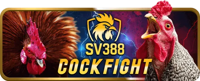 Cá cược thể thao trực tuyến 32win1 win